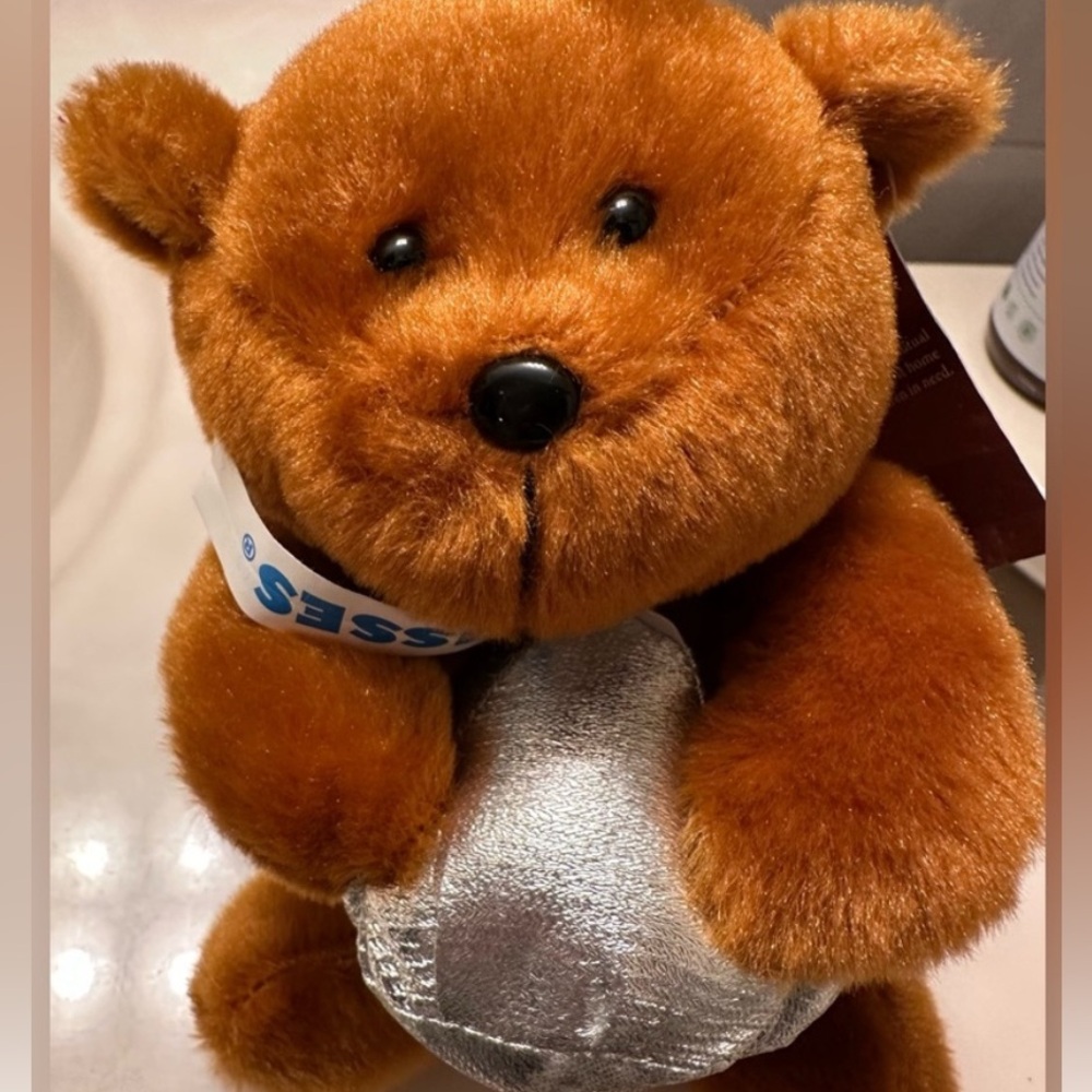 Hershey Park Teddy Bear-NWT